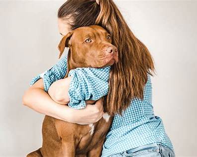 How Dogs Improve a Dog Mom’s Mental Health